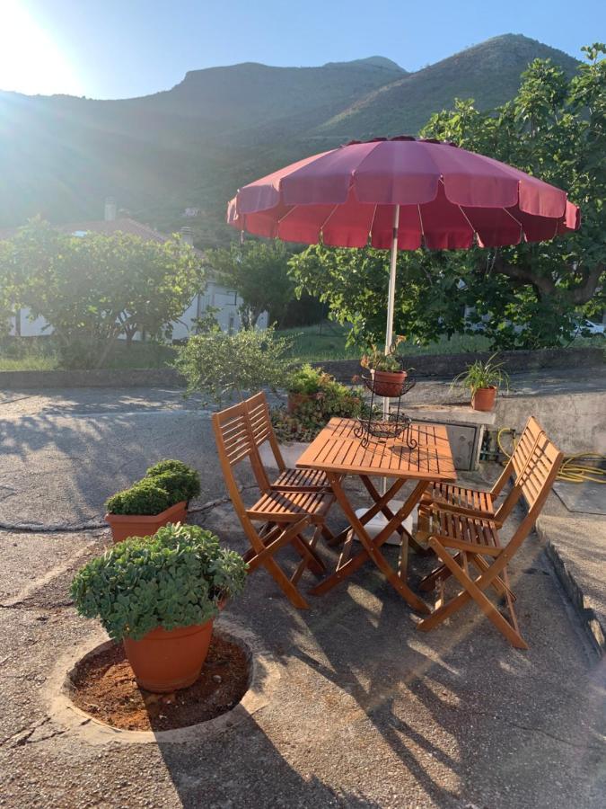 B&B Blanda Maratea Εξωτερικό φωτογραφία