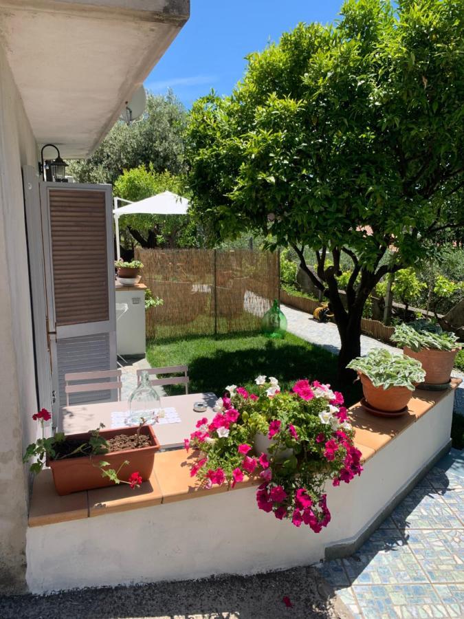B&B Blanda Maratea Εξωτερικό φωτογραφία