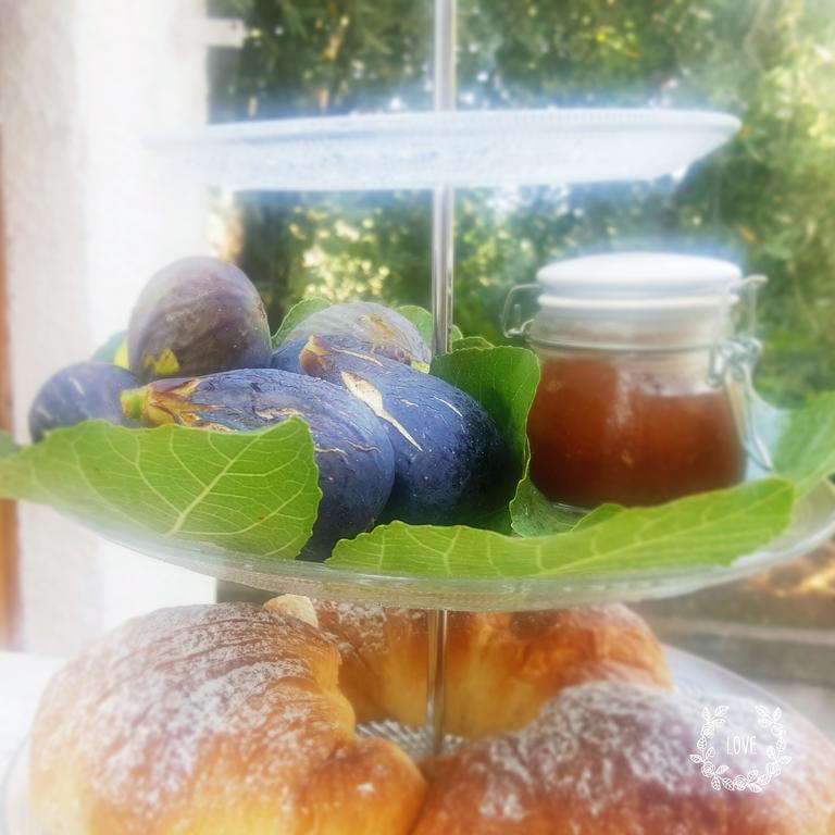 B&B Blanda Maratea Εξωτερικό φωτογραφία
